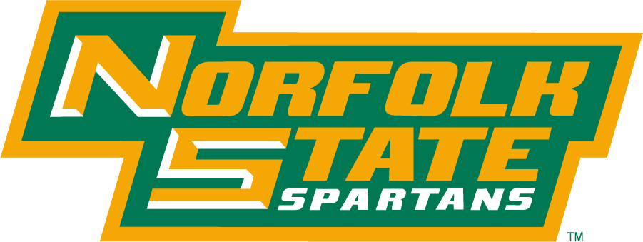 Norfolk State Spartans 1999-Pres Wordmark Logo v2 diy iron on heat transfer